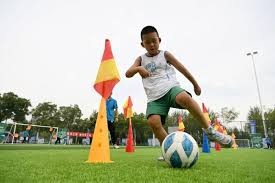 国乒击败法国队，王曼昱战胜帕瓦德，孙颖莎和王楚钦混双取胜